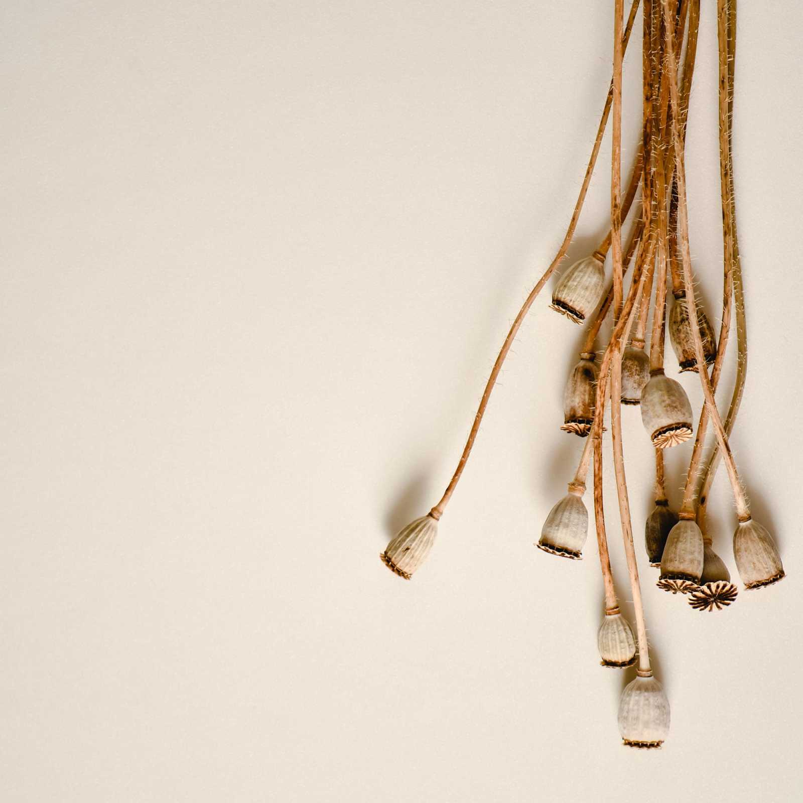 Victorious Depths Strong Abstract Sea Philosophy